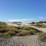 Hargen aan Zee